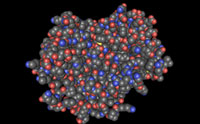 DNA Repair