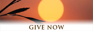 Thank you for supporting ICR through your online donation