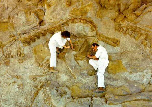 Did mass extinctions occur because of toxic gases from oceans?