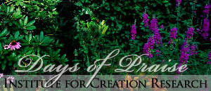 Days of  Praise