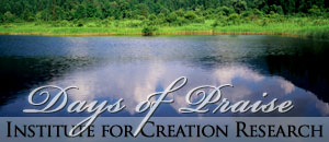 Days of Praise