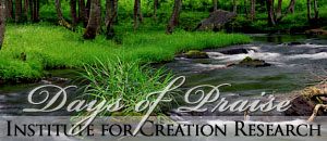 Days of  Praise