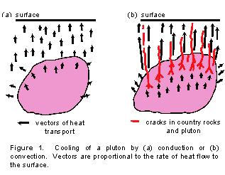 Figure 1. Cooling of a pluton by (a) conduction or (b) convection.  Vectors are proportional to the rate of heat flow to the surface.